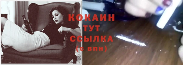 мдпв Кинешма