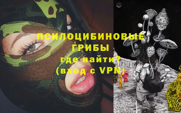 спиды Болотное
