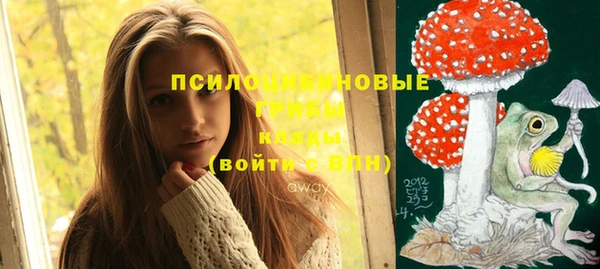 MESCALINE Корсаков