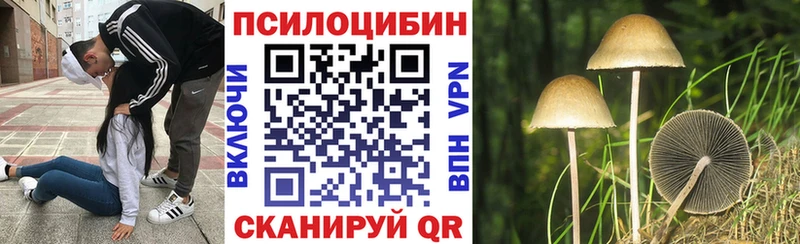 Псилоцибиновые грибы Psilocybe  Красавино 